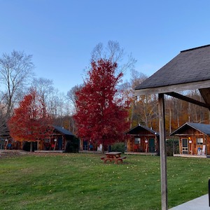 Circle of Cabins