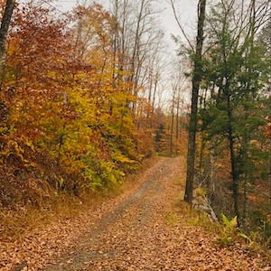 Hiking